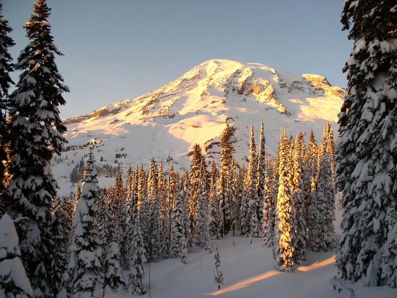 Mount Rainier National Park