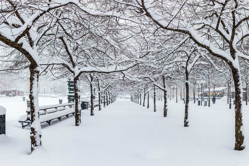 Stockholm & Scandinavian Capitals (Sweden, Norway)