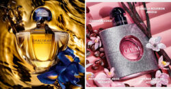 Perfumers Pick the 9 Most Stunning Winter Fragrances