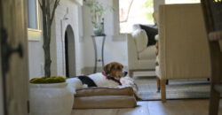 10 Things That Don't Belong in a Well-Designed Living Room