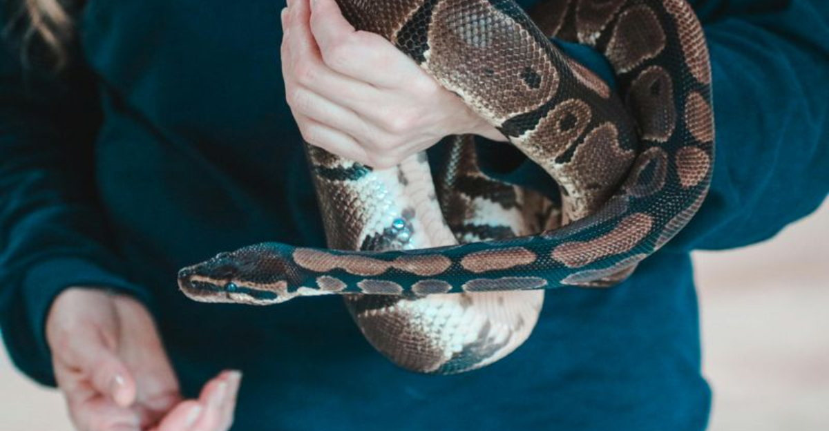 9 Things That Seem Normal in the U.S. — But Are Illegal in Canada