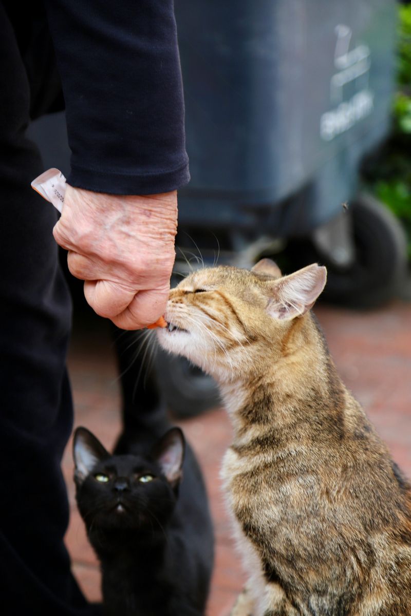 Kindness in Small Moments