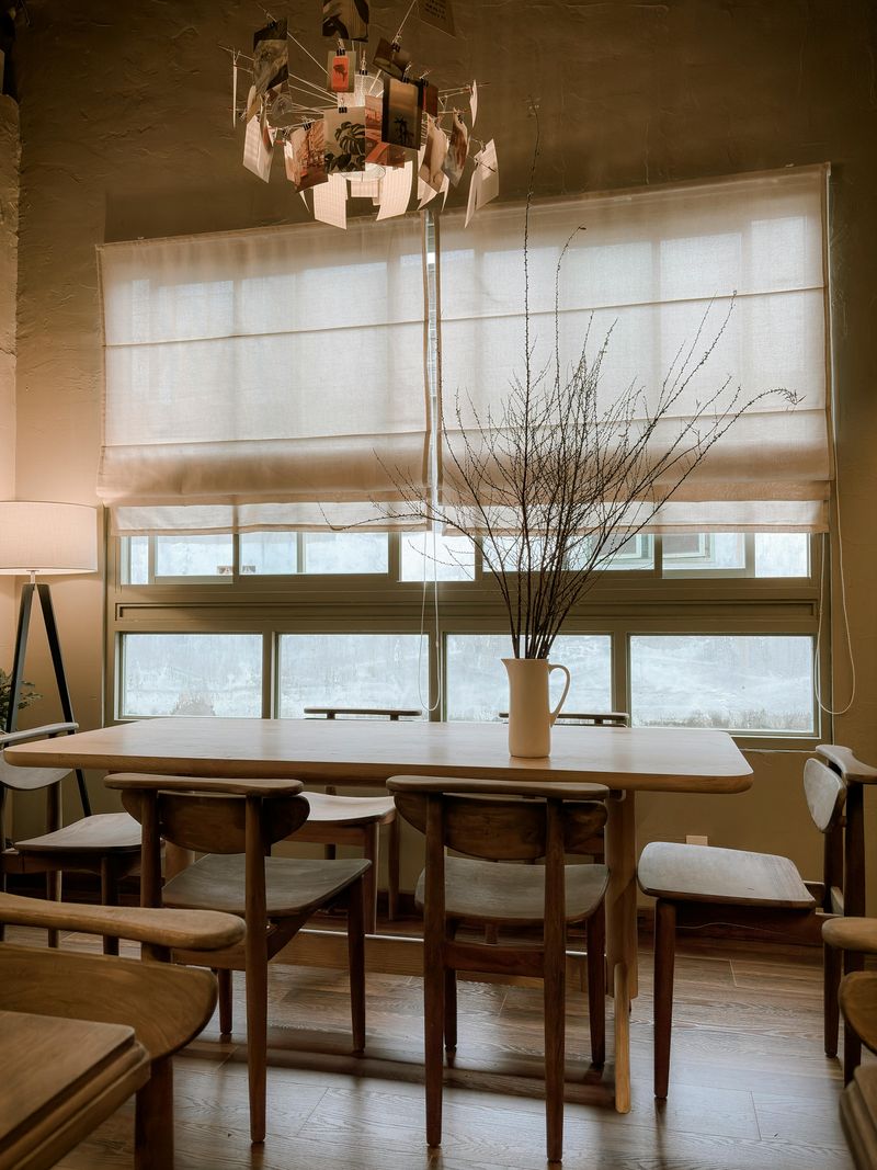 Roller Shades for Window Treatments