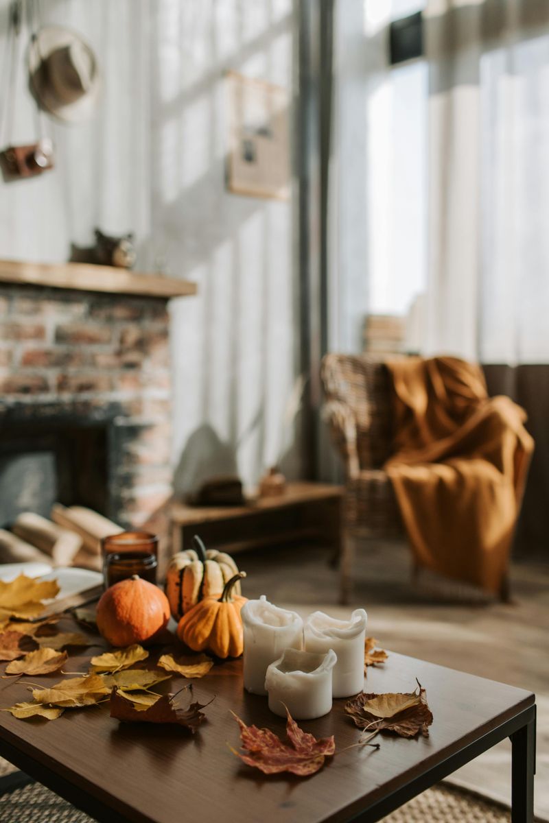 Seasonal Décor Collections