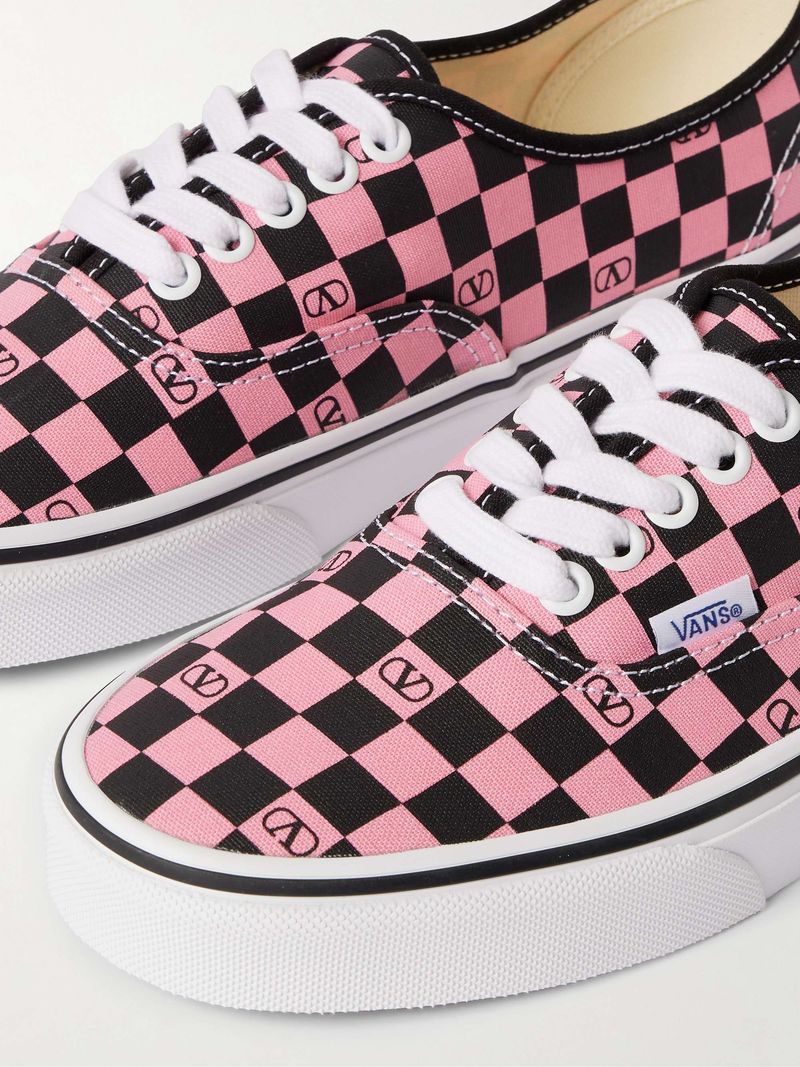 Slip-On Vans or Skate Shoes