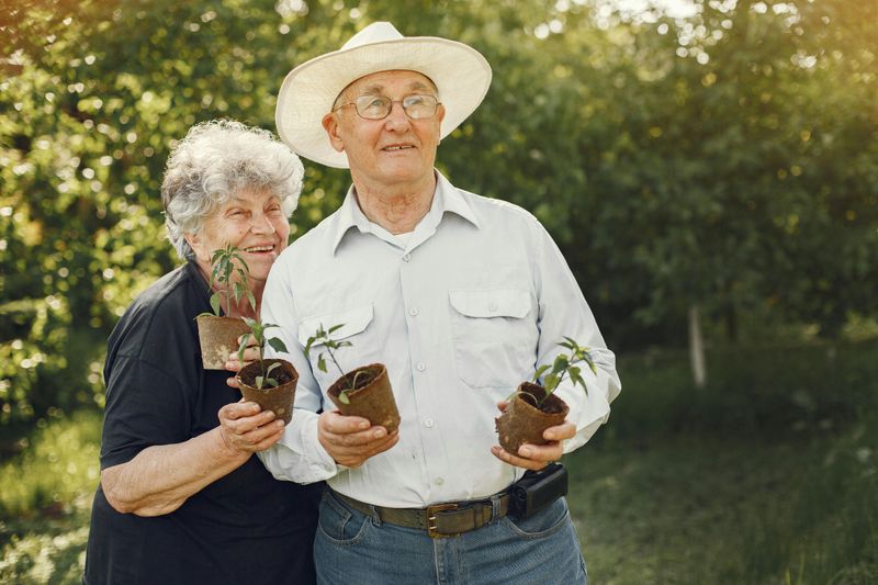 Sunlight & Nature Exposure