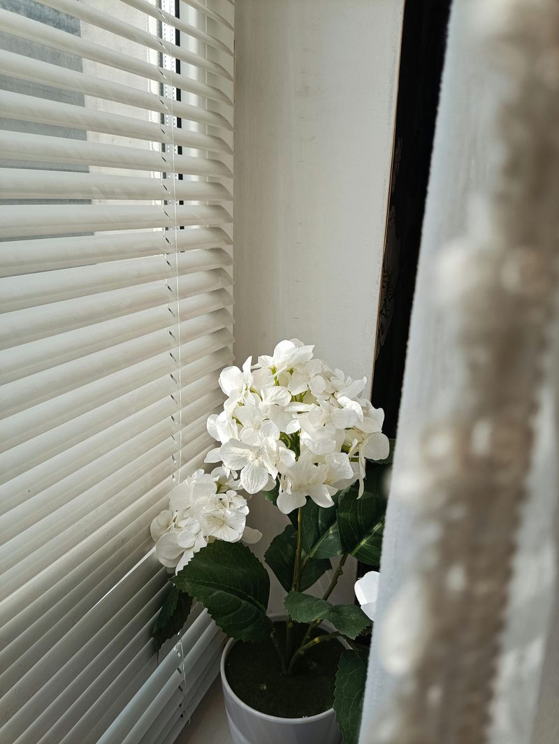 Window Treatments Chosen for Function