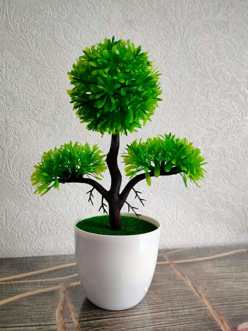 Artificial Plants That Look Artificial