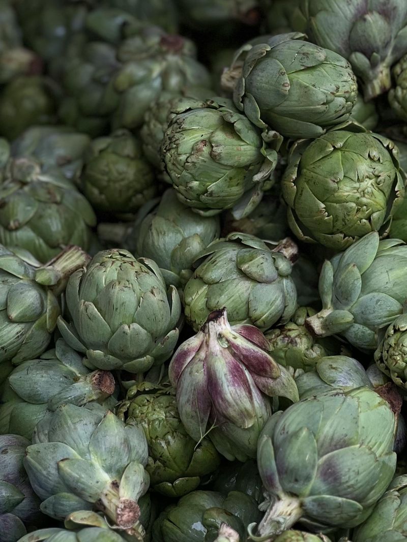 Artichokes