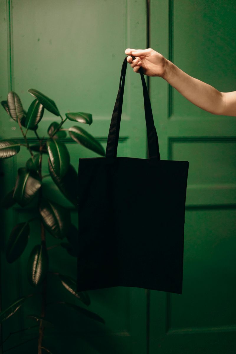 Compact Tote or Foldable Bag