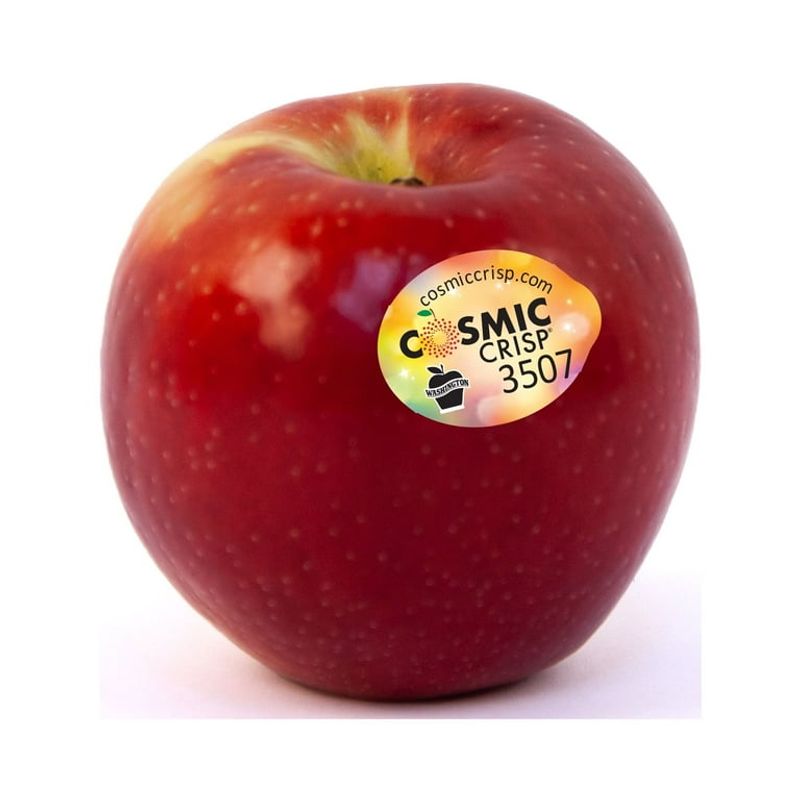 Cosmic Crisp Apples Large Bag