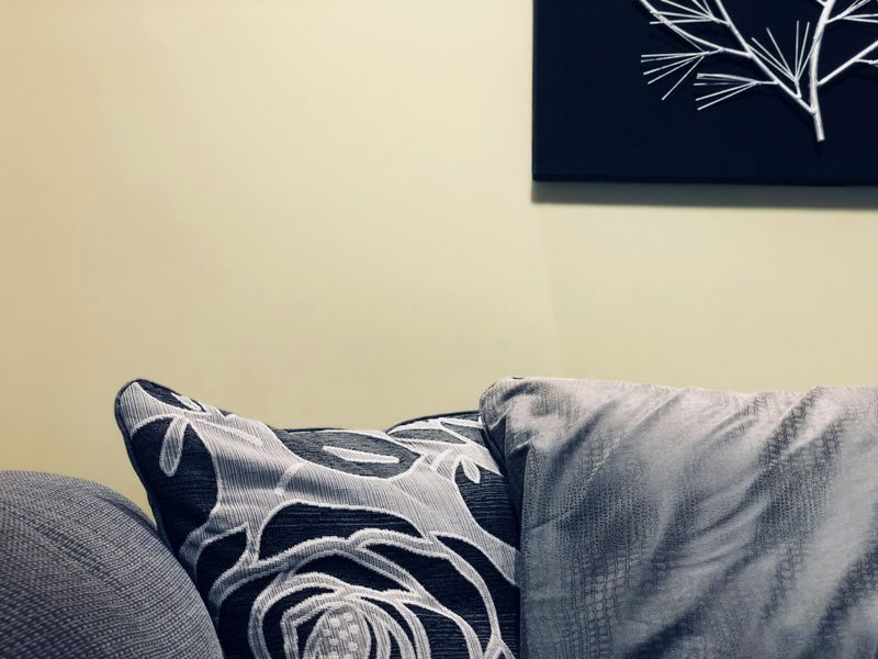 Faded or Sun-Damaged Throw Pillows