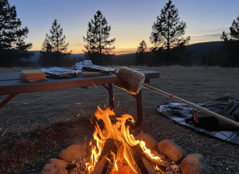 Classic Campfire S'mores