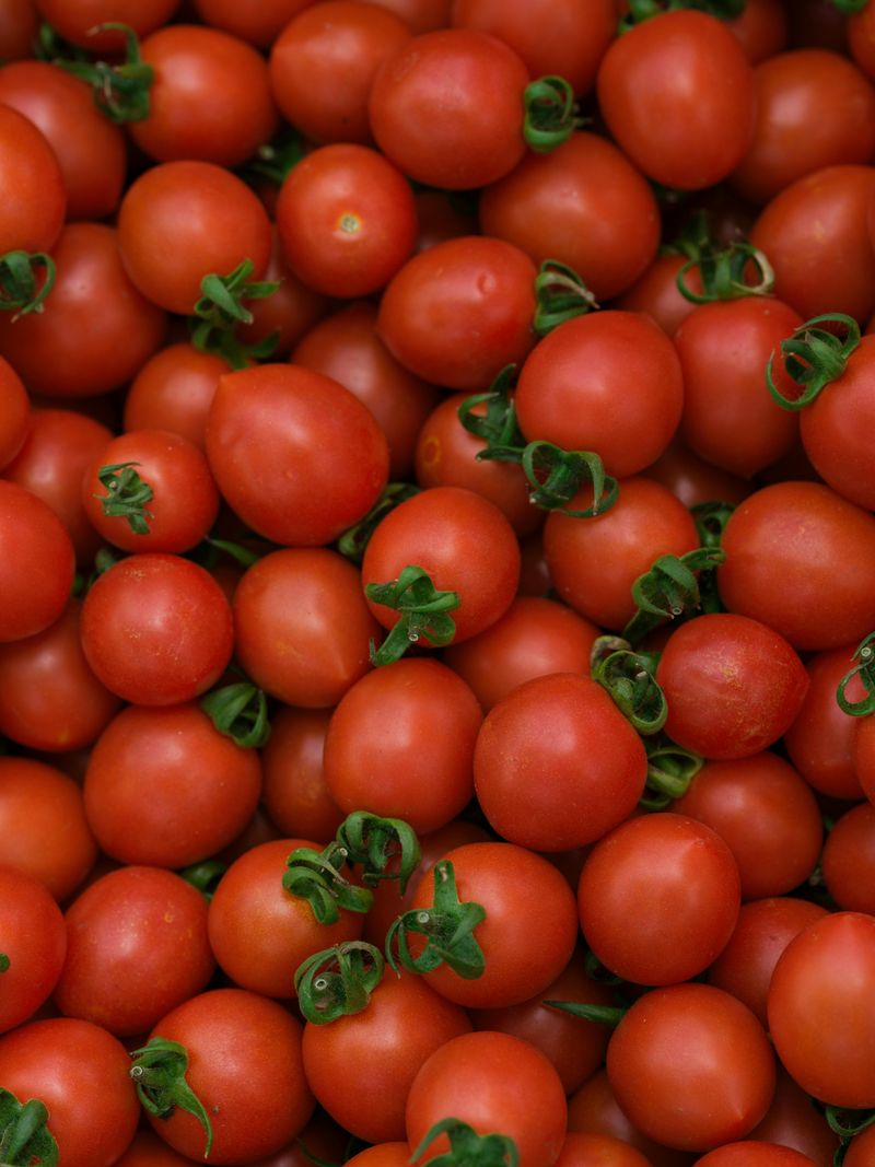 Tomatoes