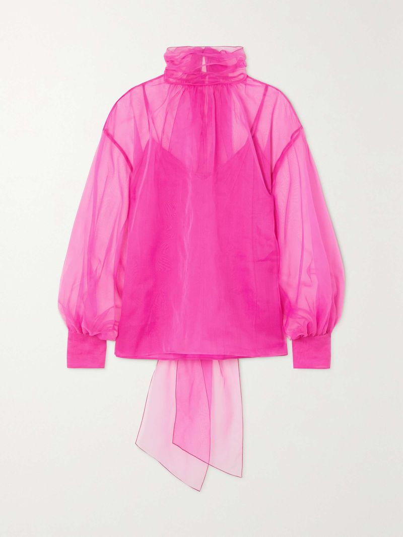 Sheer Organza Blouse