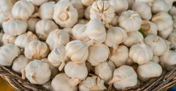 These 12 Super Veggies Can Help Strengthen Your Immune System