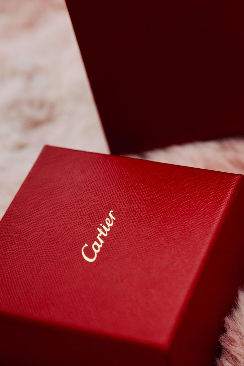 Luxury Brand Obsession as a Status Signal