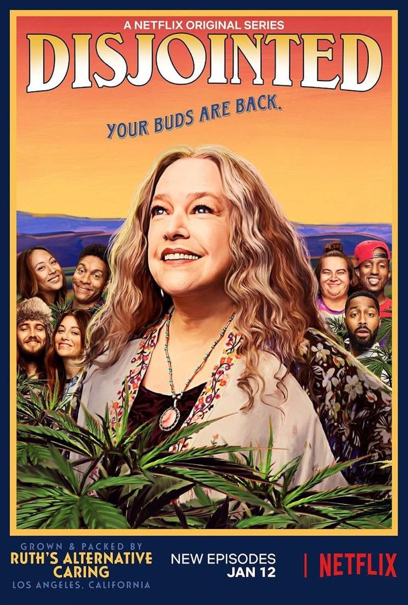 Disjointed (2017–2018)