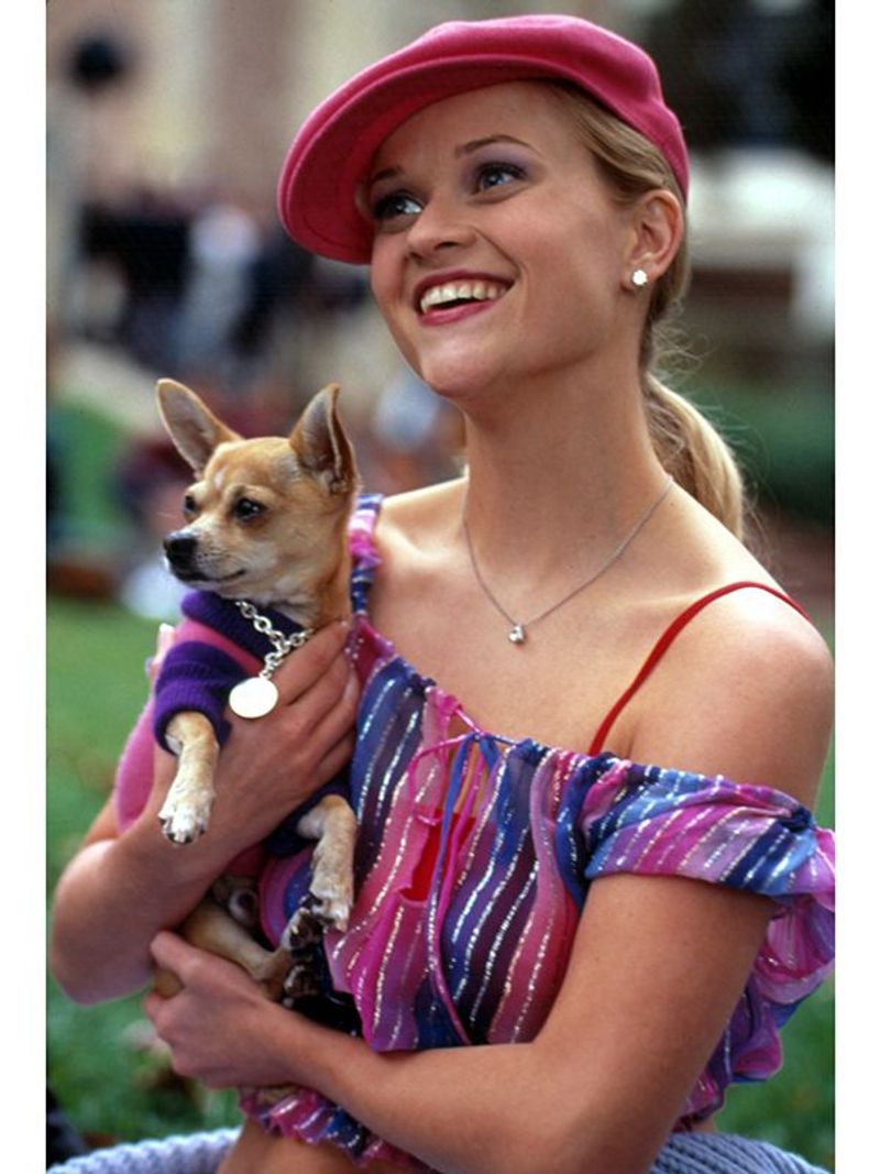 Elle Woods — Legally Blonde