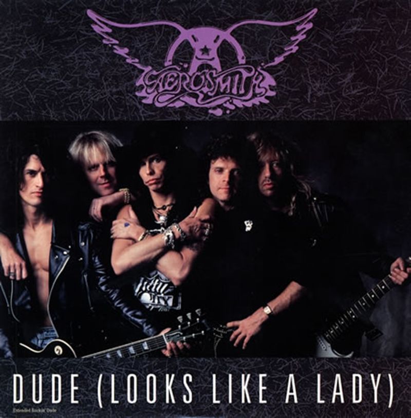 'Dude (Looks Like a Lady)' by Aerosmith (1987)