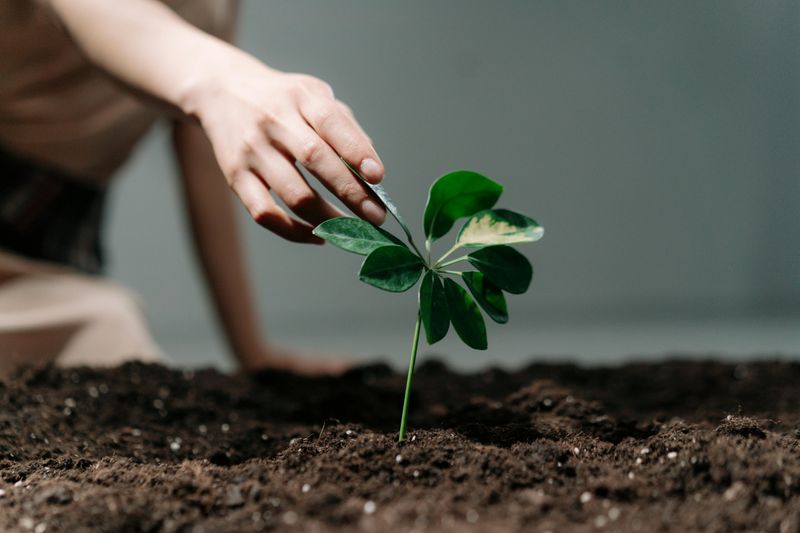 Choosing Growth Over Comfort Every Time