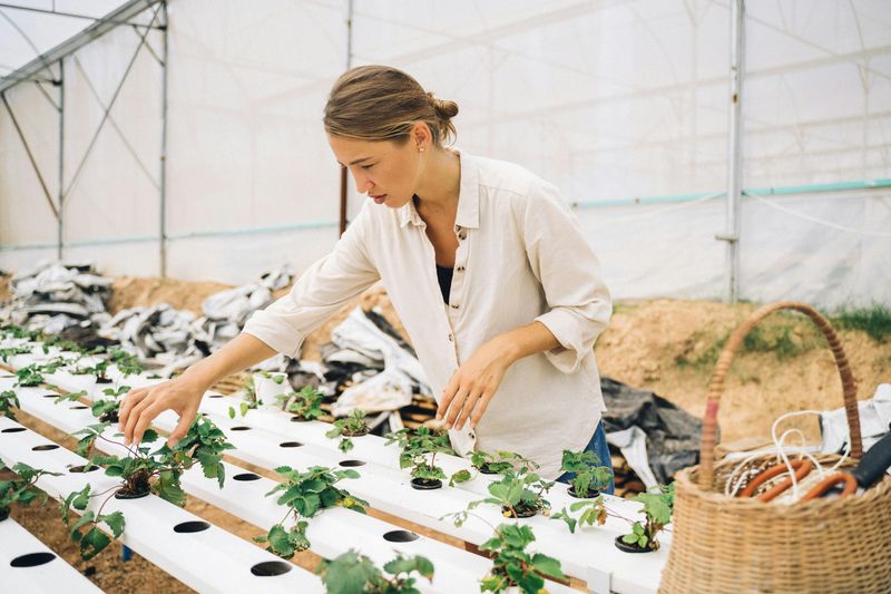 Gardening and Growing Food