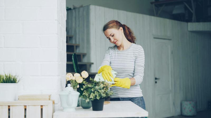 Keeping the House Clean and Organized