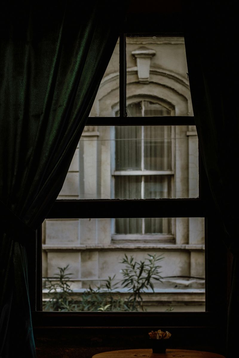 Single-Pane Windows