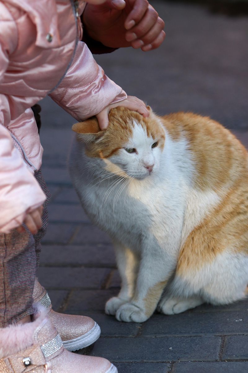 They're Gentle with Animals and Younger Kids