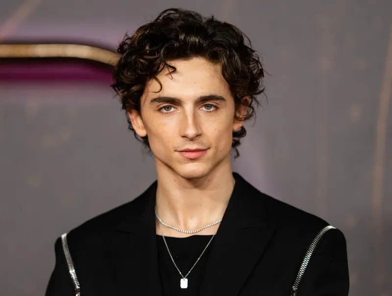 Timothée Chalamet (born 1995)
