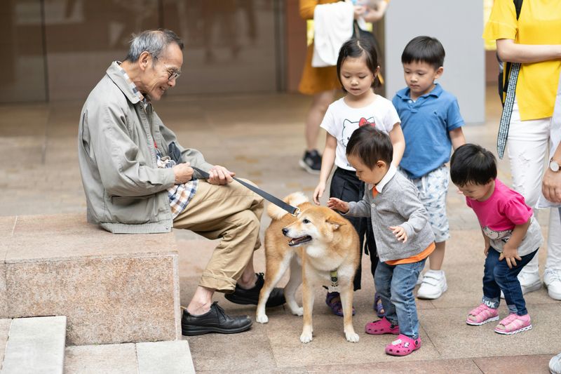 Animals and Children Are Naturally Drawn to You