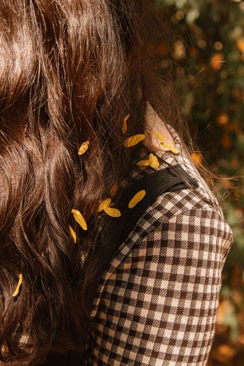 Chestnut Brown with Highlights