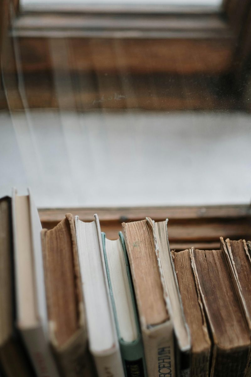 Dusty Decorative Books You Never Read