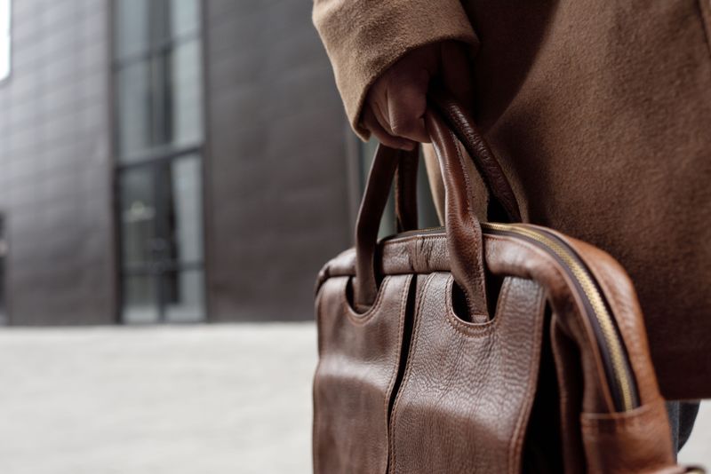 Bag or Briefcase