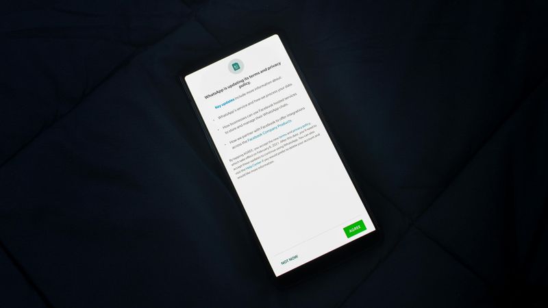Reading the Terms and Conditions