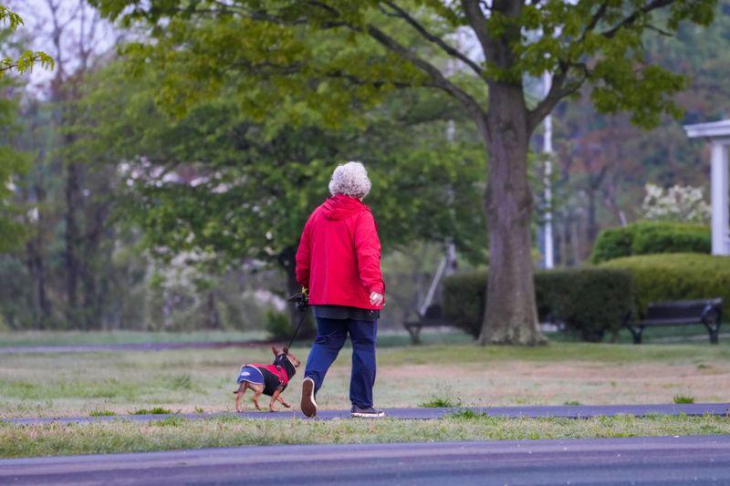 Taking Daily Walks