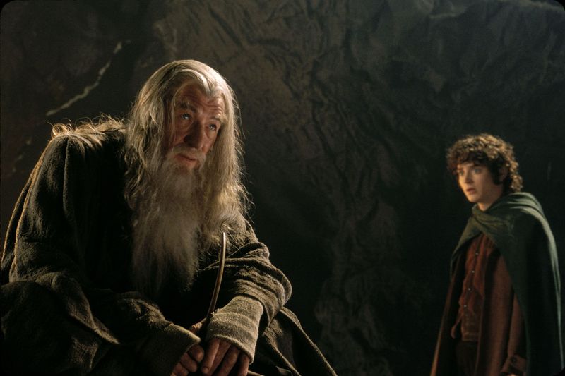 The Lord of the Rings: The Fellowship of the Ring (2001)