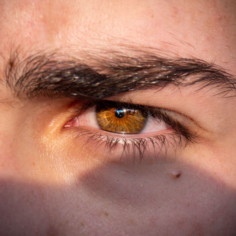 They Keep Their Eyebrows Tidy
