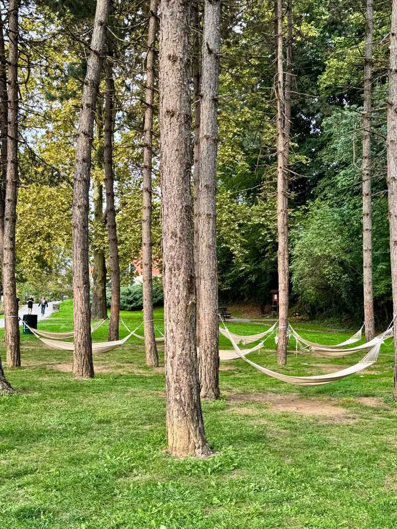 Hammock