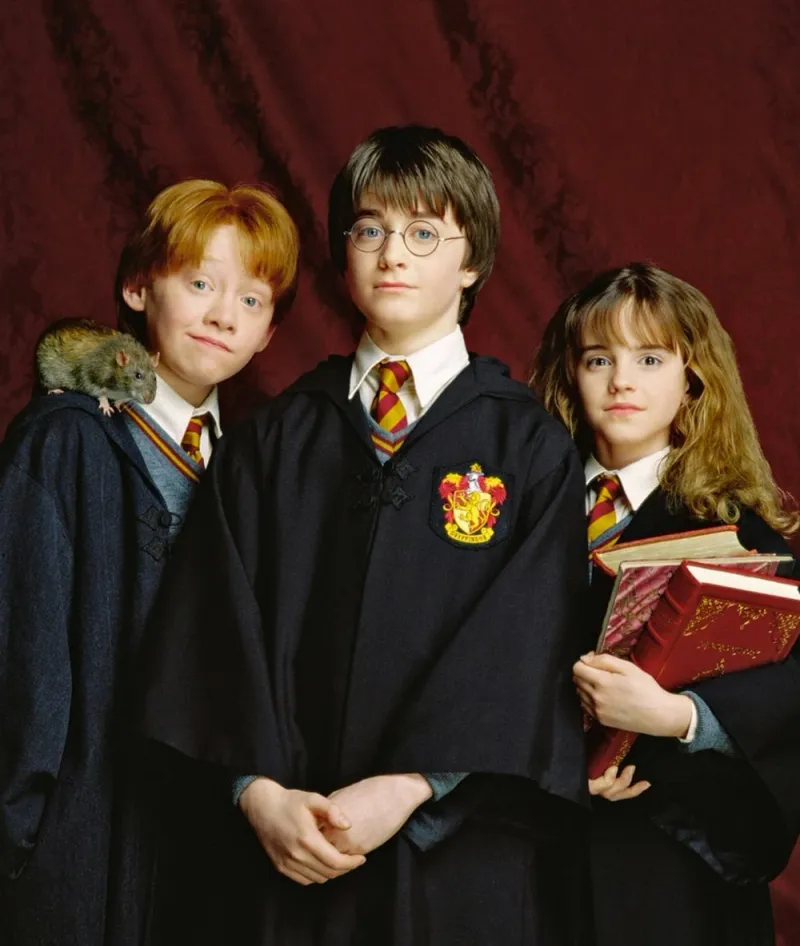 Harry, Ron, and Hermione – Harry Potter