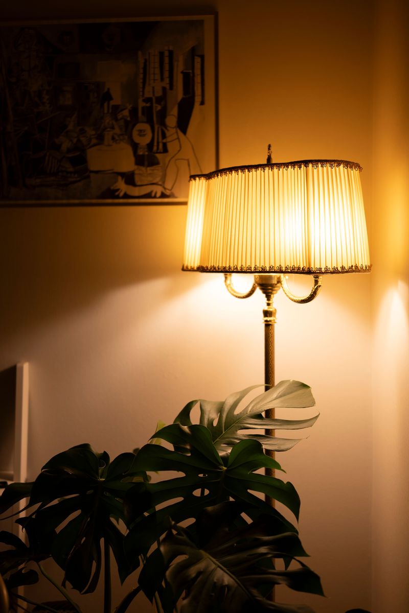 Lights Used With Intention