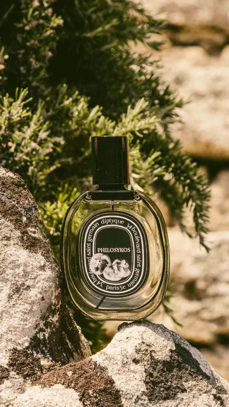 Philosykos – Diptyque