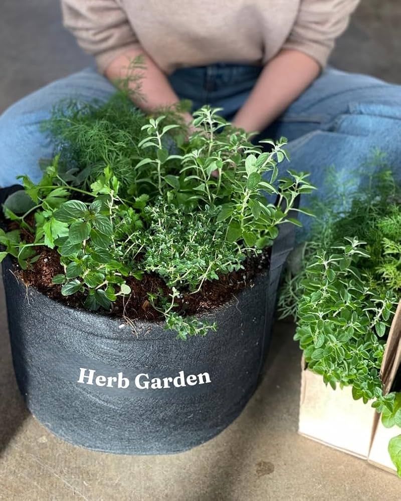 Potted Herb Garden