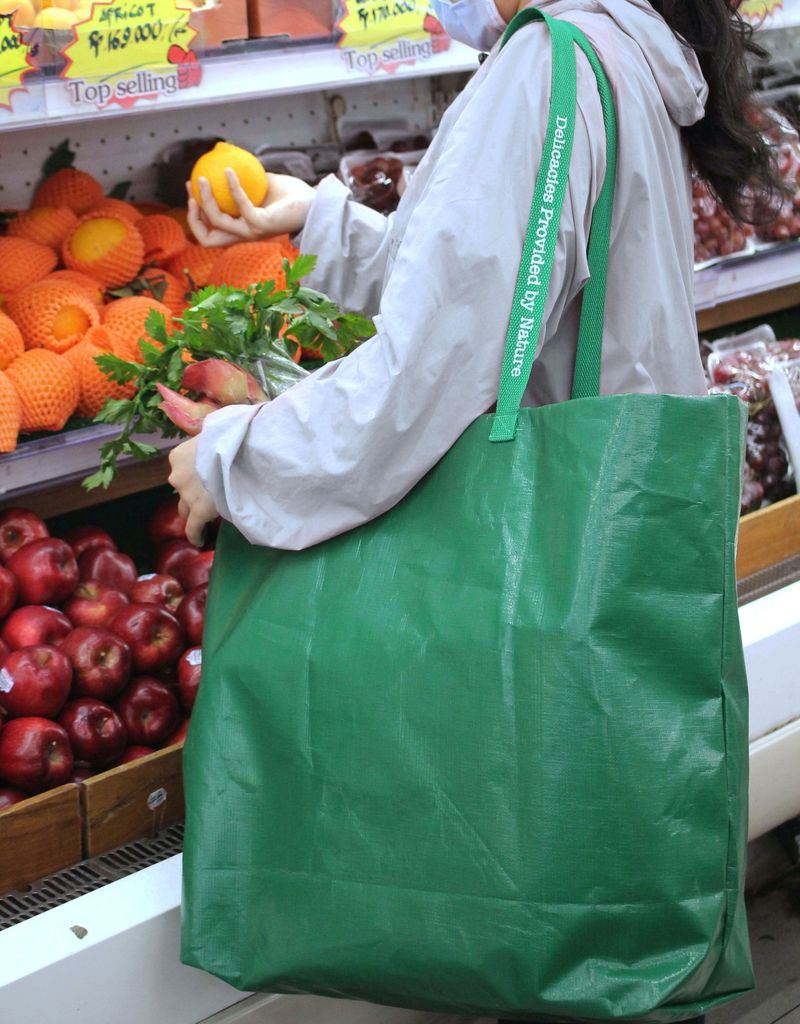 Reusable Shopping Bag