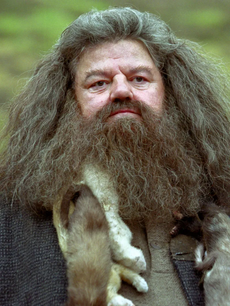 Rubeus Hagrid (Harry Potter series)