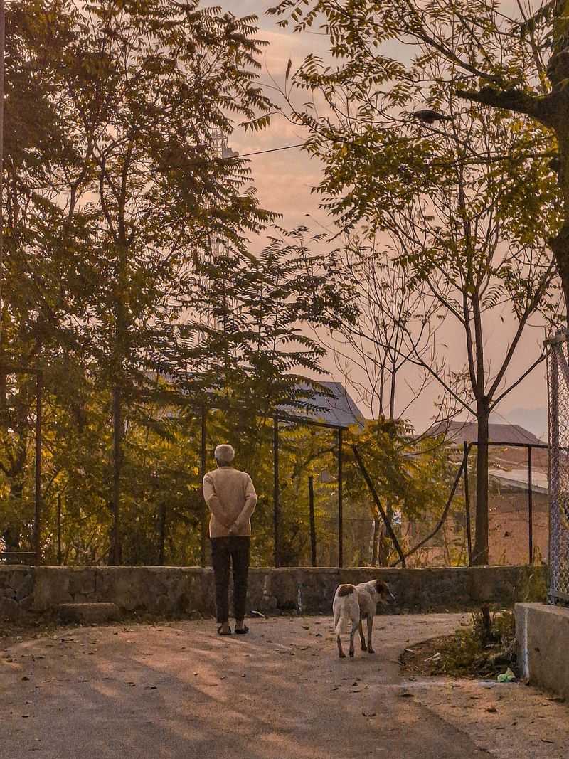 Taking a Daily Walk