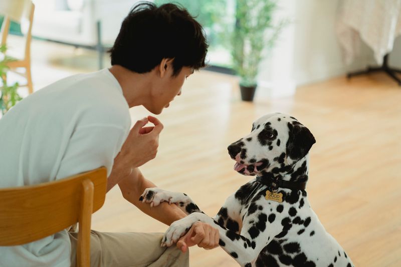 Talking to Pets in a Baby Voice