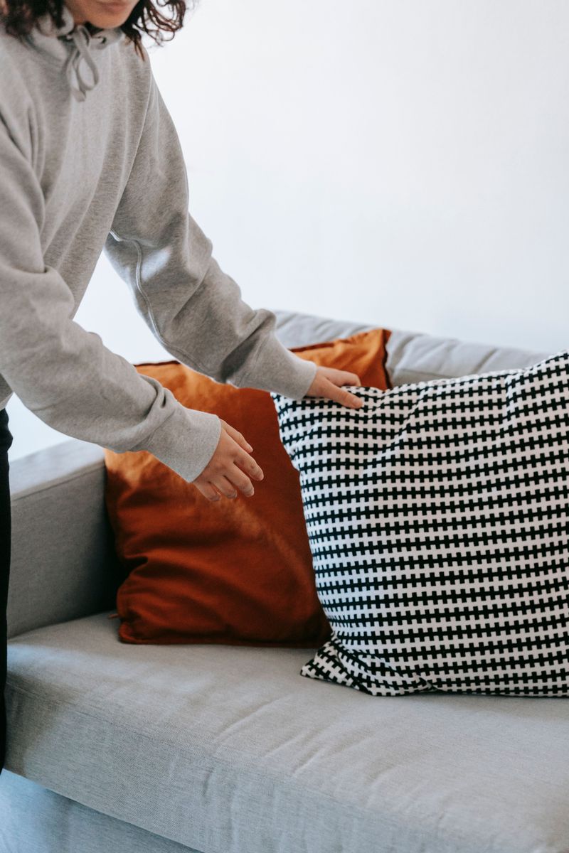 Decorative Throw Pillows