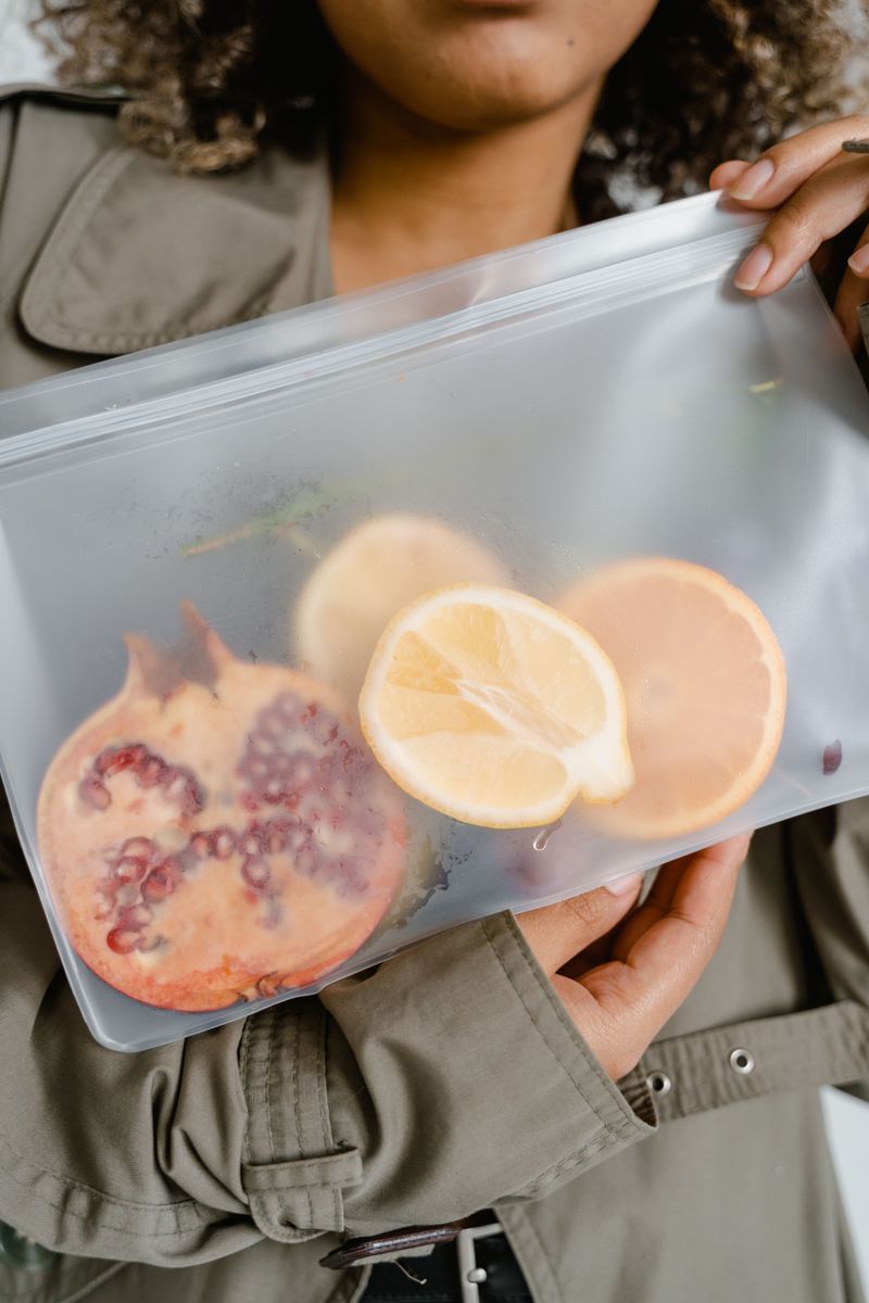 Disposable Food-Storage Bags
