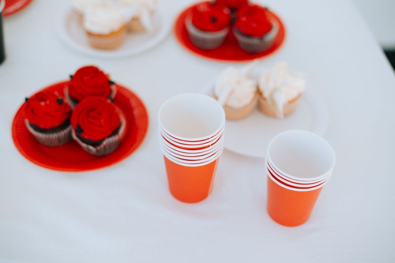 Disposable Plates and Cups